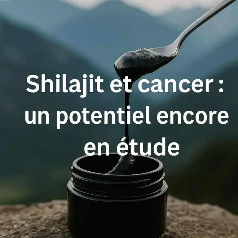 les études sur le shilajit et le cancer