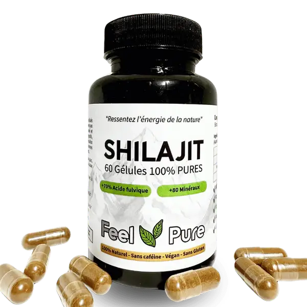 gelules de feel pure shilajit
