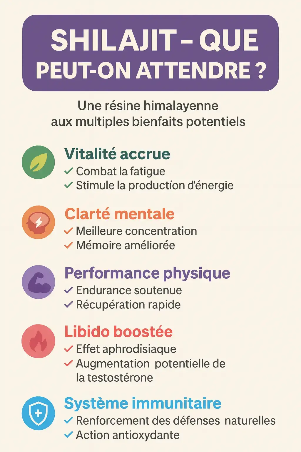 les effets d'une cure de shilajit