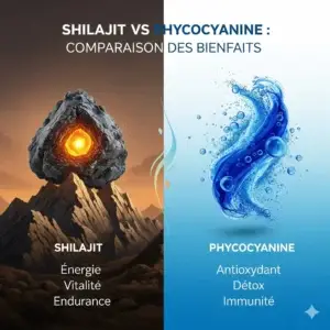 phycocyanine et bienfaits du shilajit