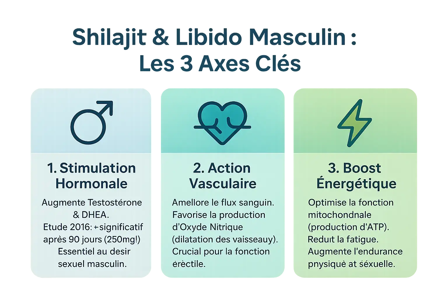 Les 3 axes d'action du <strong>shilajit sur la libido masculine</strong>