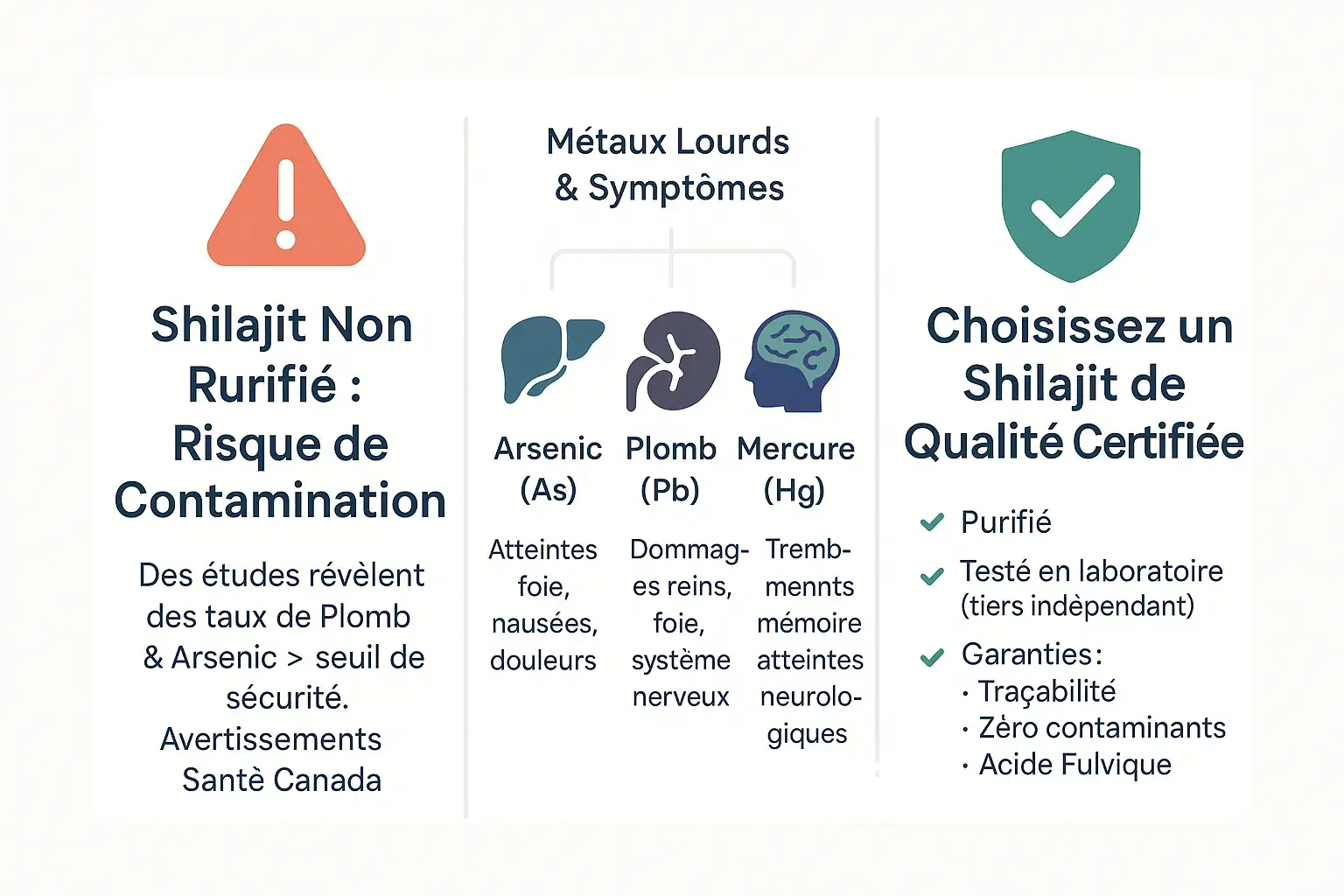 Schéma de contamination du shilajit par les métaux lourds