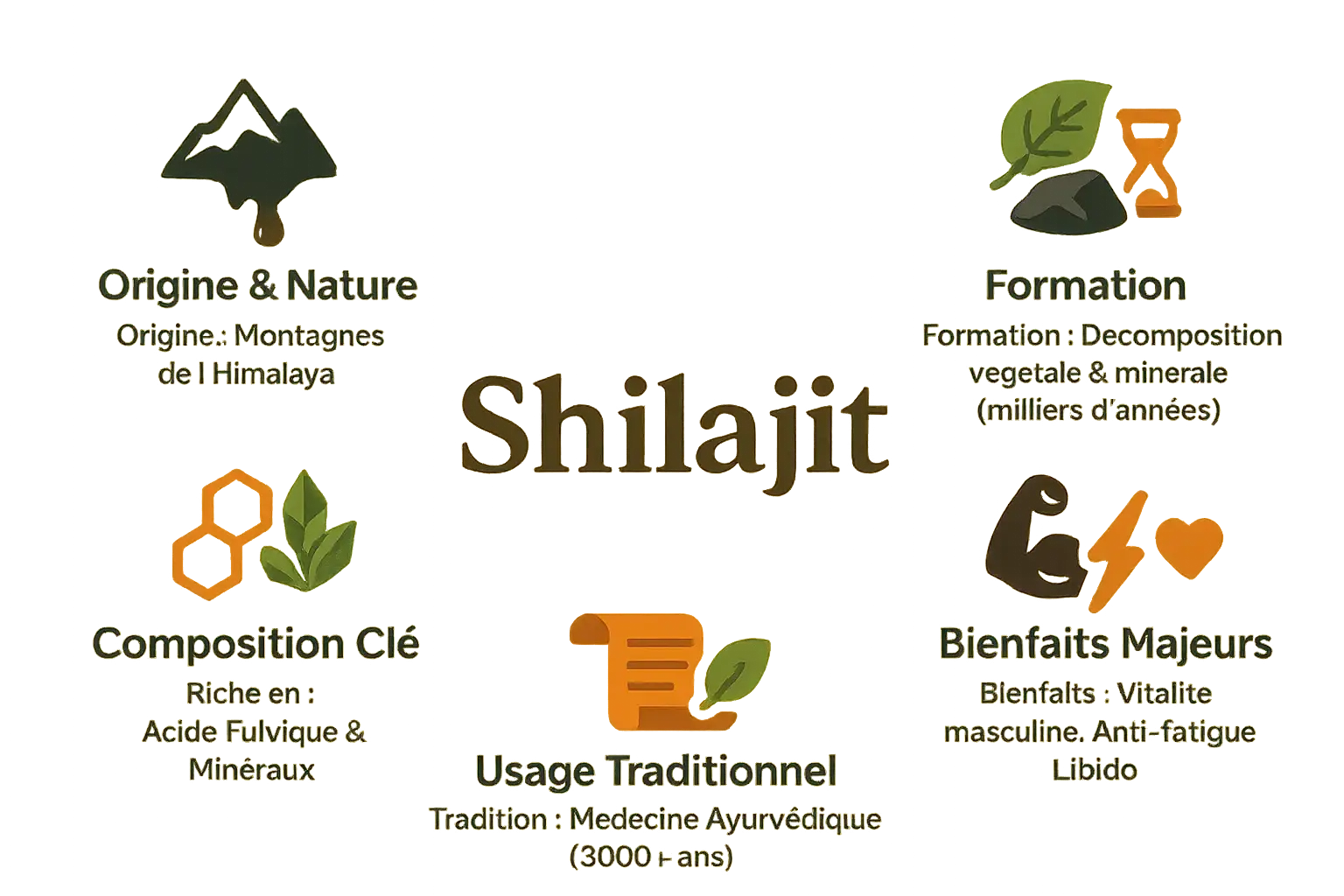 Shilajit originel de l'Himalaya