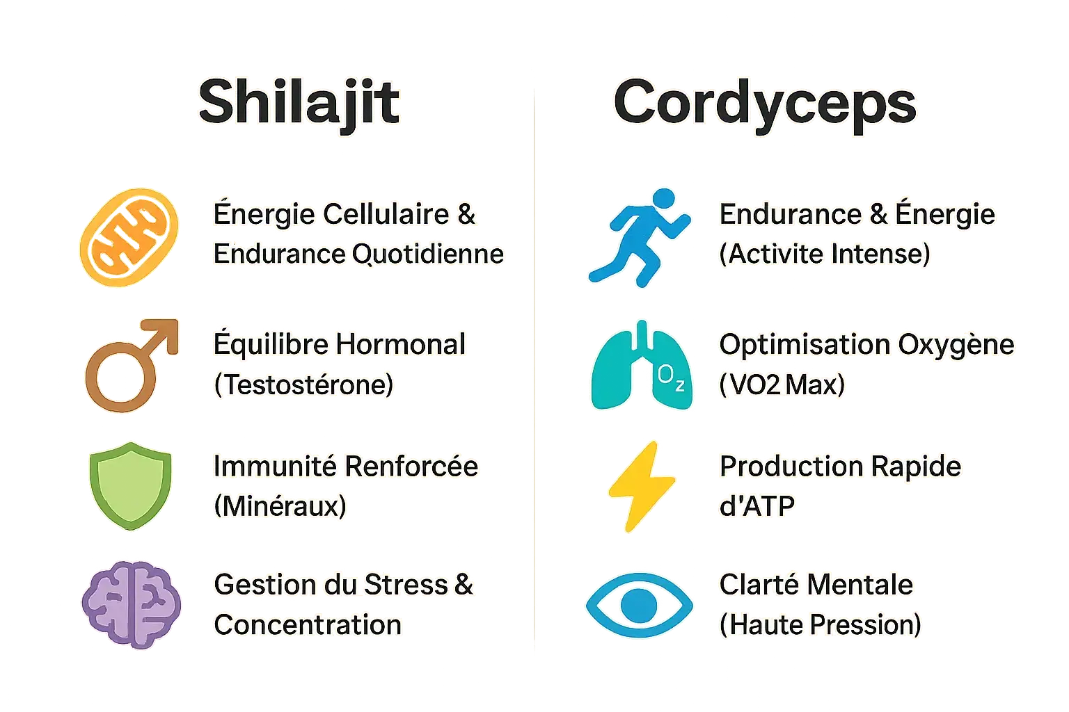 Comparaison Shilajit et Cordyceps