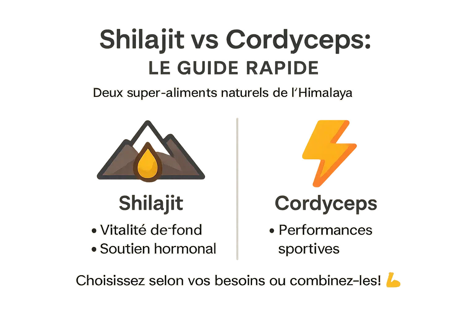 Comparaison Shilajit vs Cordyceps