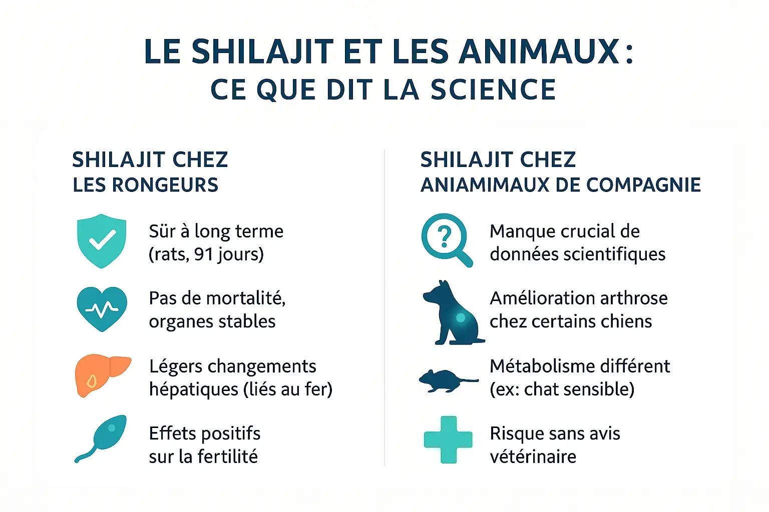 Shilajit et animaux : ce que dit la science