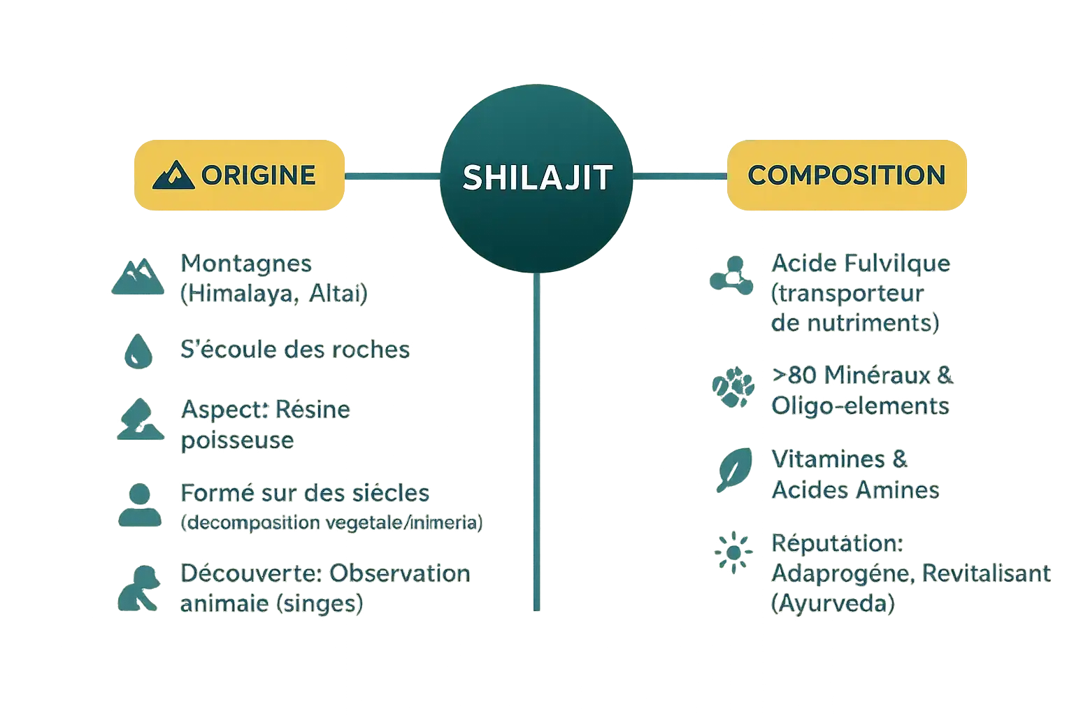 Shilajit sur une roche himalayenne