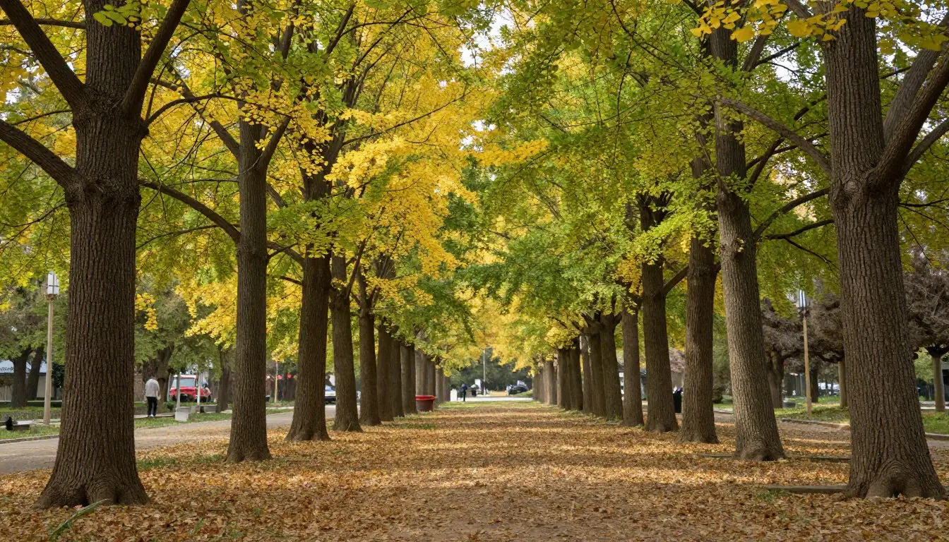 Quel complément pour la libido homme choisir en 2026 ? Le Ginkgo Biloba : améliorer l'afflux sanguin et la réactivité
